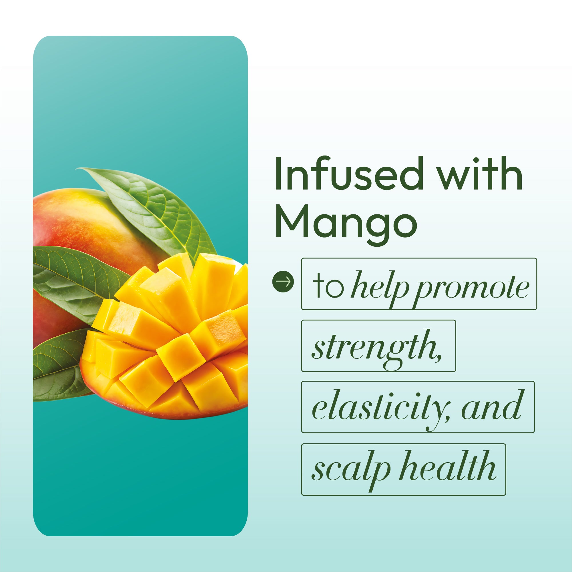 ORS Olive Oil Goodbye Dry Shampoo & Conditioner (12.5 oz) 2-Piece Set