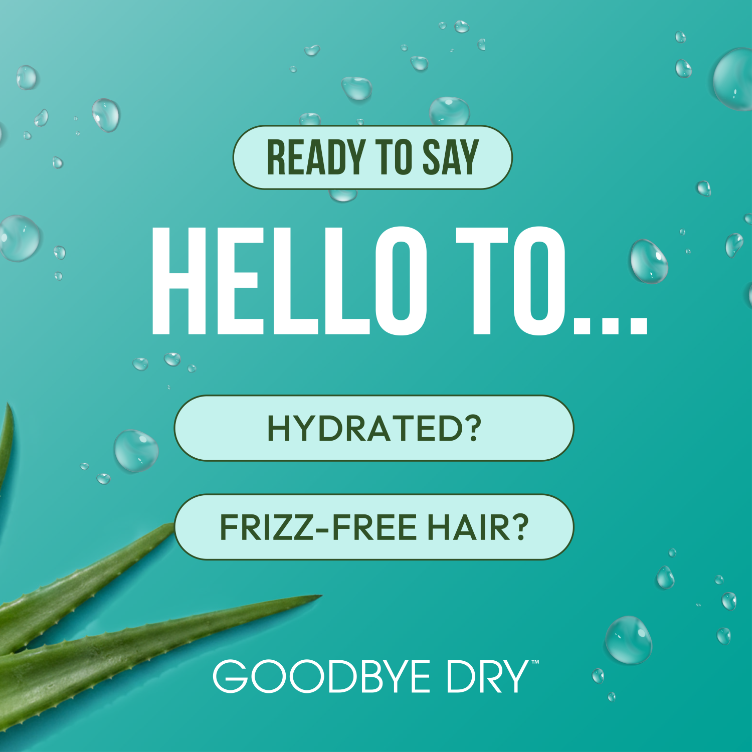 ORS Olive Oil Goodbye Dry Thirst Quencher Shampoo (12.0 oz)