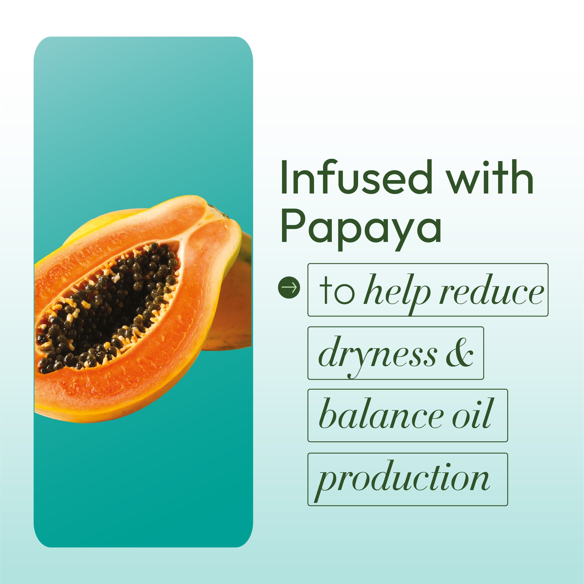 ORS Olive Oil Goodbye Dry Moisture Boost Leave-In Conditioner (8.0 oz)