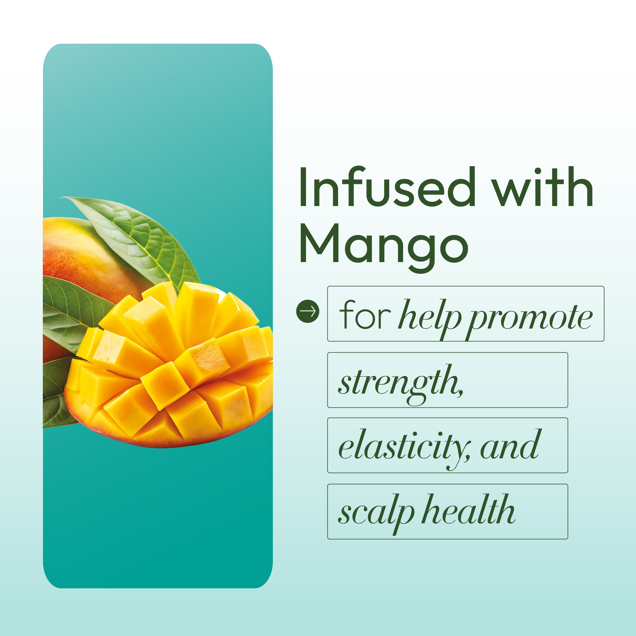 ORS Olive Oil Goodbye Dry Radiant Shine Holding Spray (8.0 oz)