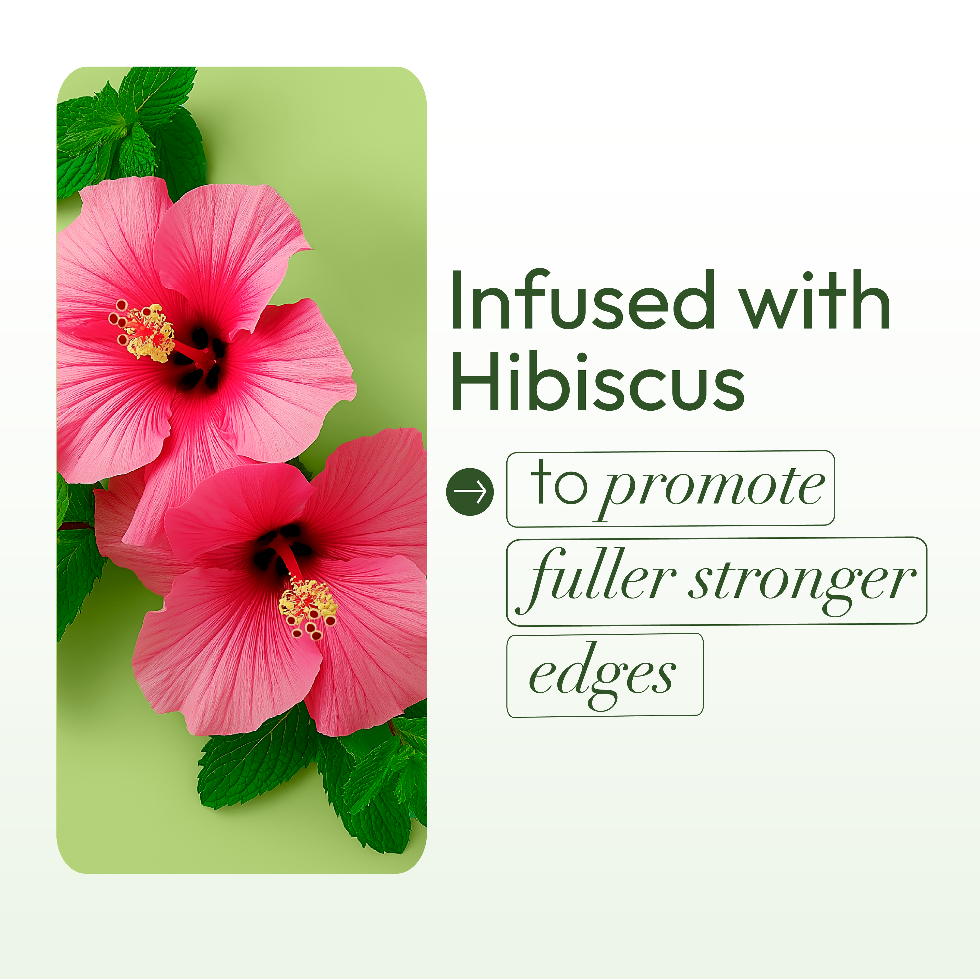 ORS HBCU Olive Oil Edge Control Hair Gel Firm Hold (2.2 oz)