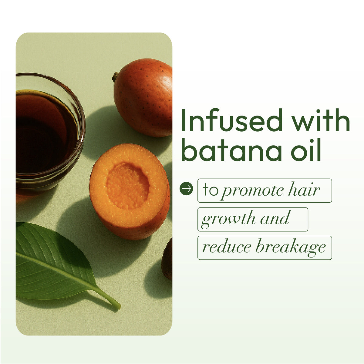ORS Olive Oil Revitalizing Curl Mousse (12.0 oz)