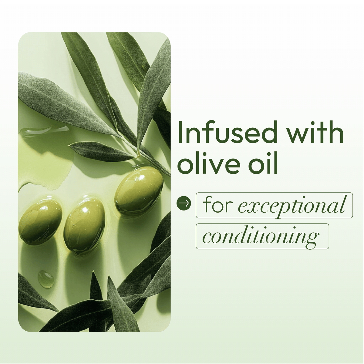ORS Olive Oil Rich Moisture Styling Mousse (12.0 oz)