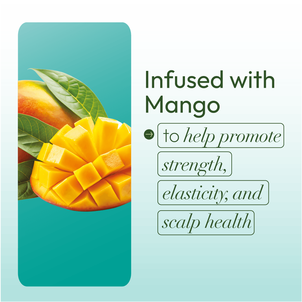 ORS Olive Oil Goodbye Dry Hydrafoam Styling Mousse (7.0 oz)