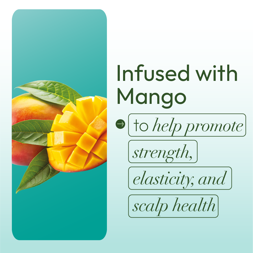 ORS Olive Oil Goodbye Dry Styling Mousse, Edge Control & Holding Spray 3-Piece Set