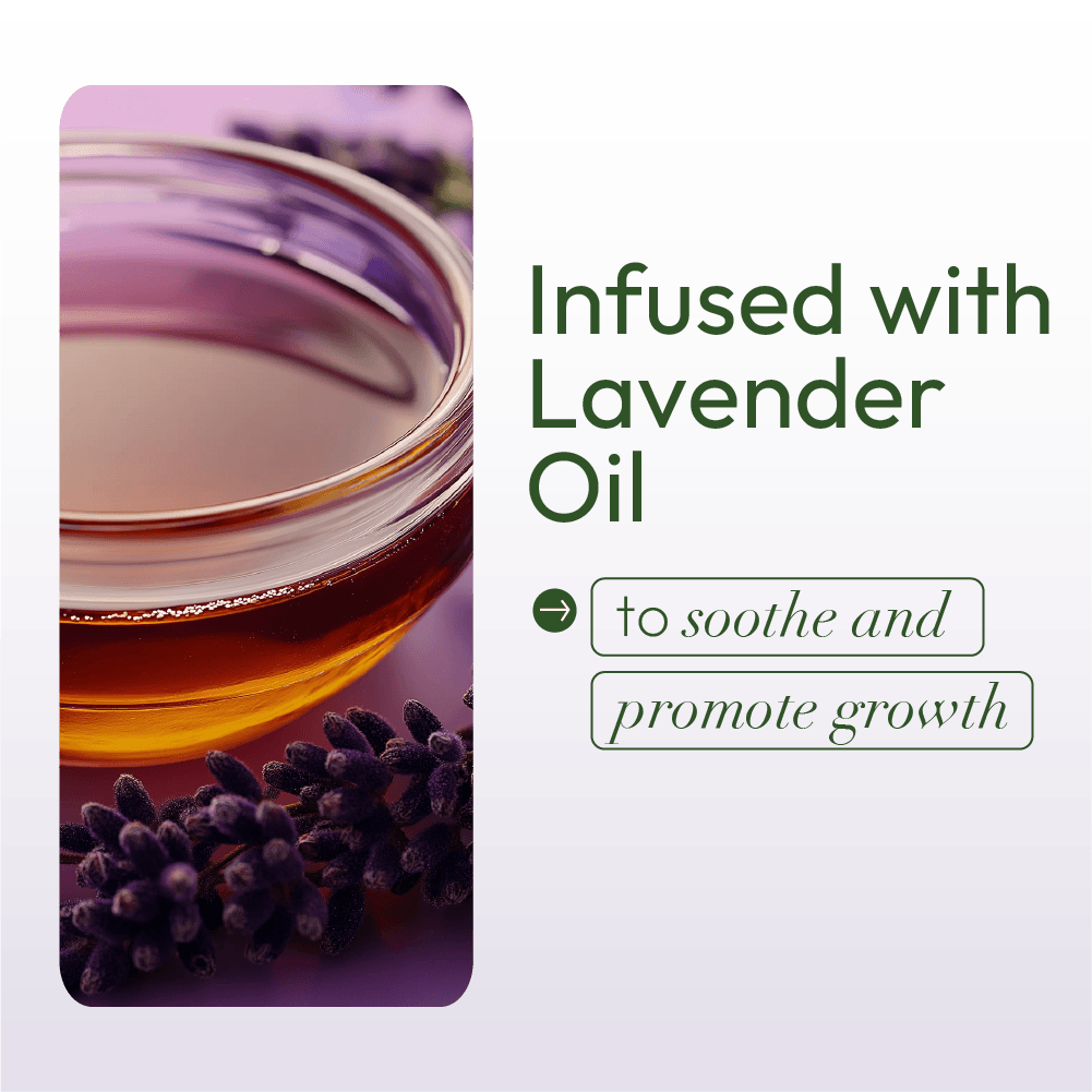 ORS Olive Oil Braidzone 7-In-1 Braid Leave In Spray (8.0 OZ)