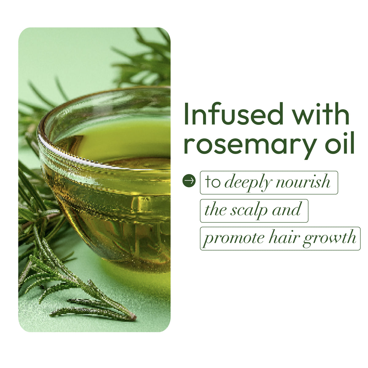 ORS Olive Oil Revitalizing Curl Mousse (12.0 oz)