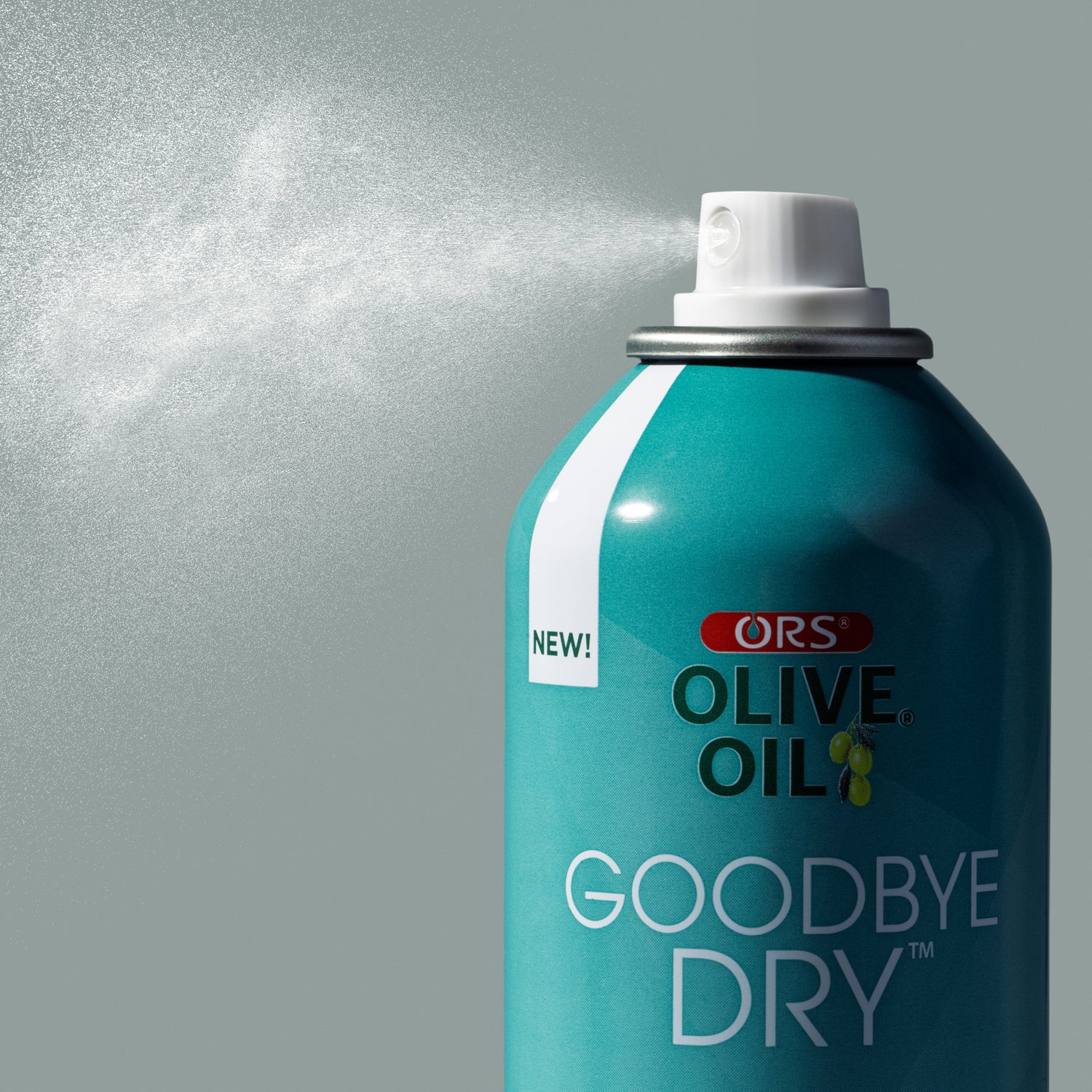 ORS Olive Oil Goodbye Dry Styling Mousse &amp; Holding Spray 2-Piece Set