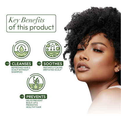 ORS Olive Oil Replenishing Shampoo for Revitalizing Moisture (16.0 oz)
